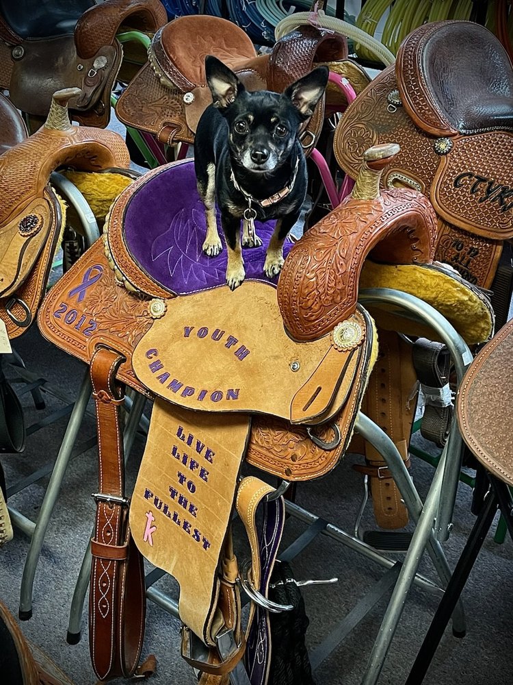 Moody's Western Wear Logo