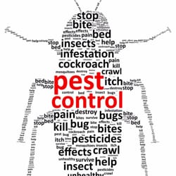 Pest Control Newburyport  Photo of ESP Pest Control - Newburyport, MA, United States