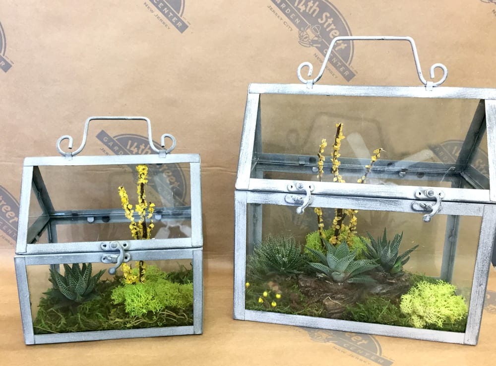 Best Nurseries & Gardening in Jersey City, NJ - 14th Street Garden Center, The Plants House, SOHO Flower & Garden, Botanica Garden Center, Noble Plants, The Sill, Green Fingers Market, Gowanus Nursery, Chelsea Garden Center- Williamsburg, Gardel's.