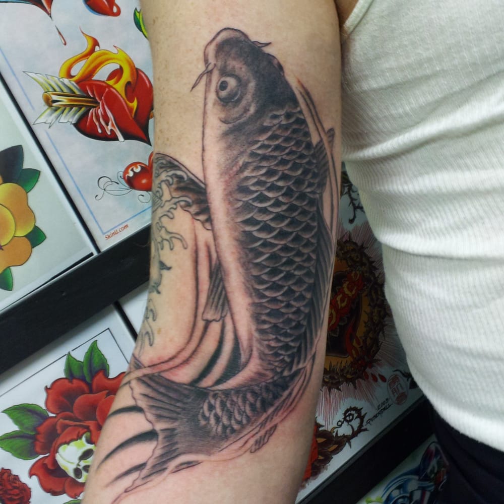 common carp yelp common carp yelp