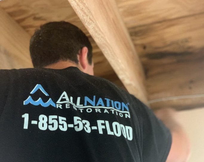 All Nation Restoration