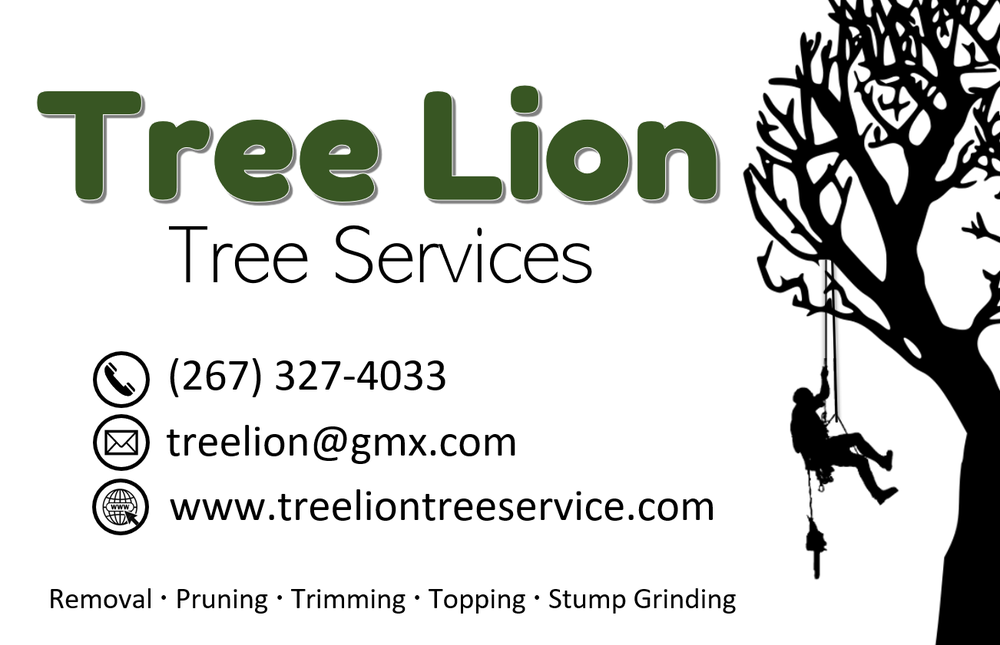 Tree Lion Tree Service