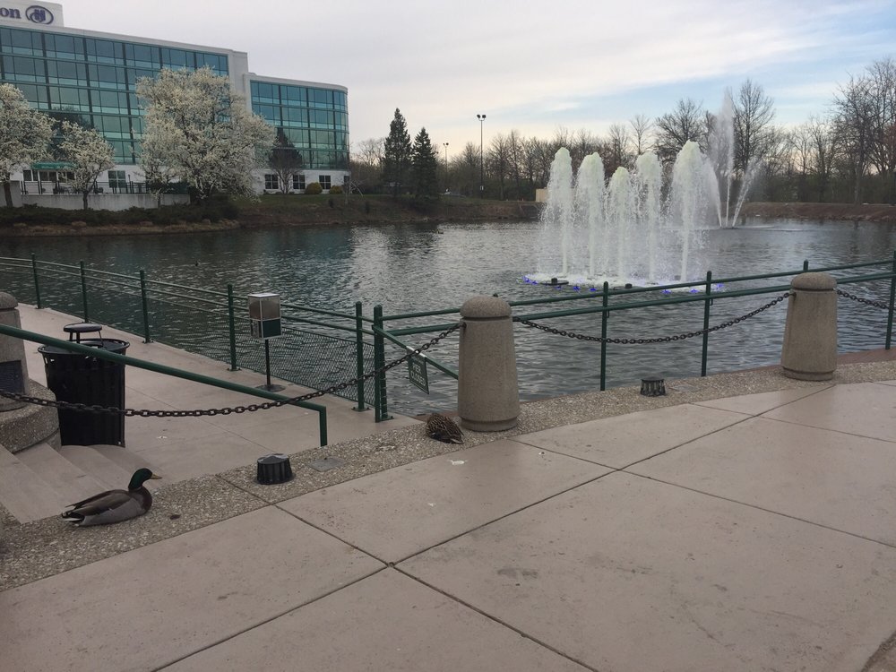 Lexington Green Mall 13 Photos Shopping Centers 161 Lexington Green Cir, Lexington, KY