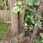 jl tree service arborist photo of jl tree service fairfax va united states approximately 75 year 27 photos 54 reviews services 10395 jl tree service arborist photo of jl tree service fairfax va united states approximately 75 year 27 photos 54 reviews services 10395