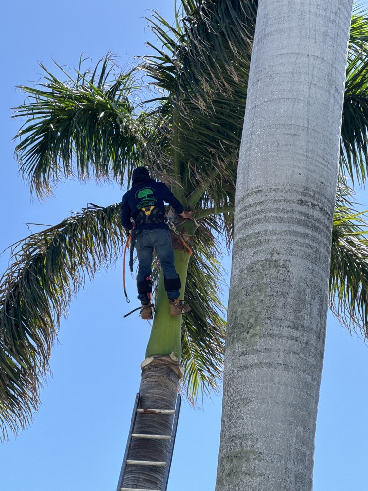 Pro Tree Services