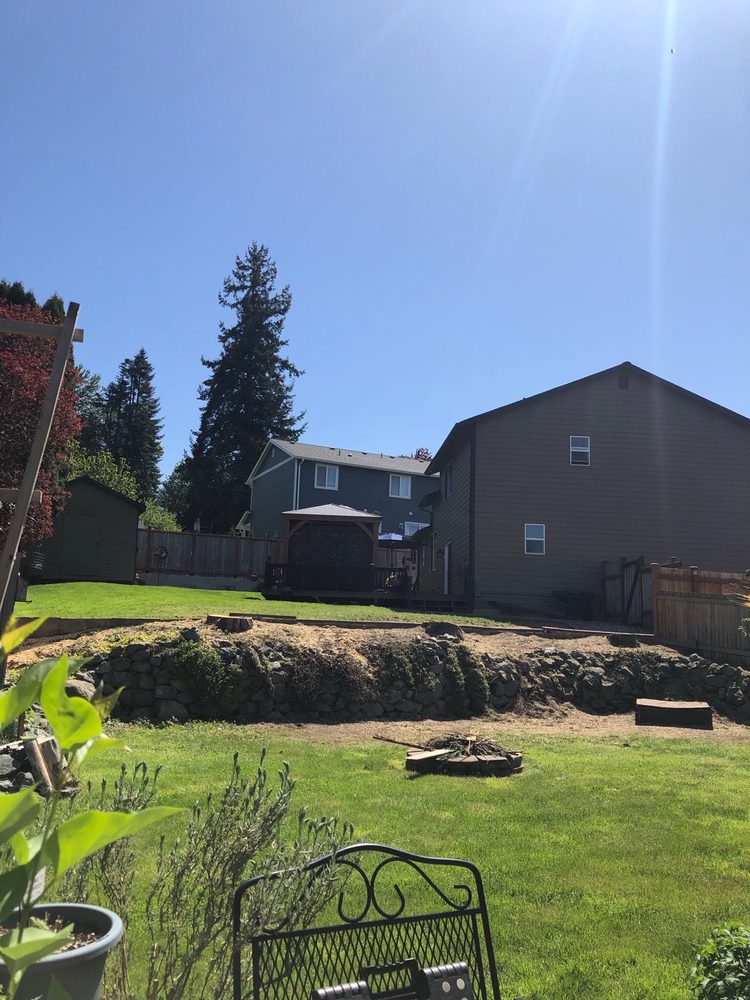 Webster's Tree Service