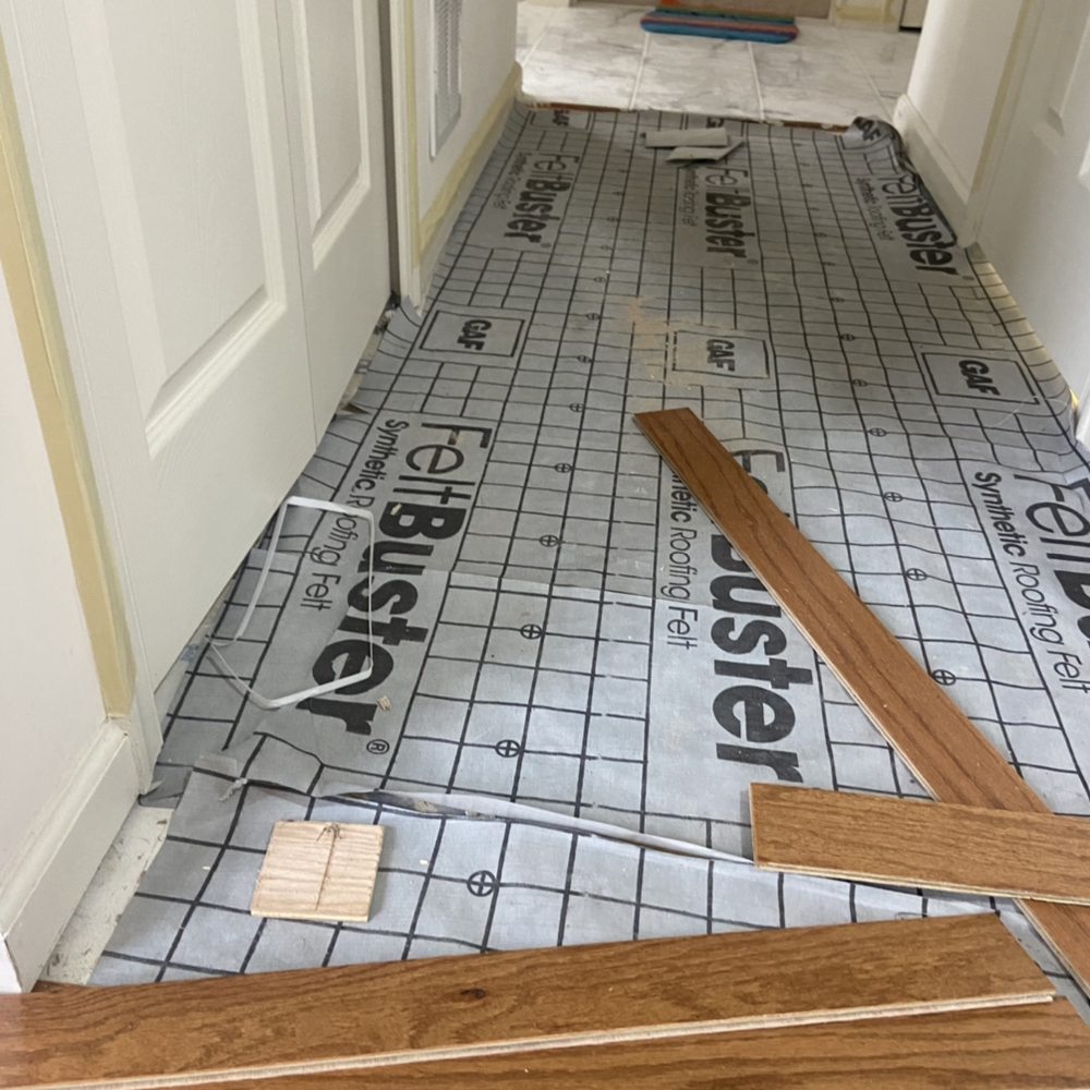 Divine Quality Carpet Care