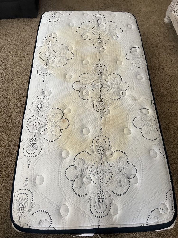 JG&Sons Carpet and Upholstery Cleaning