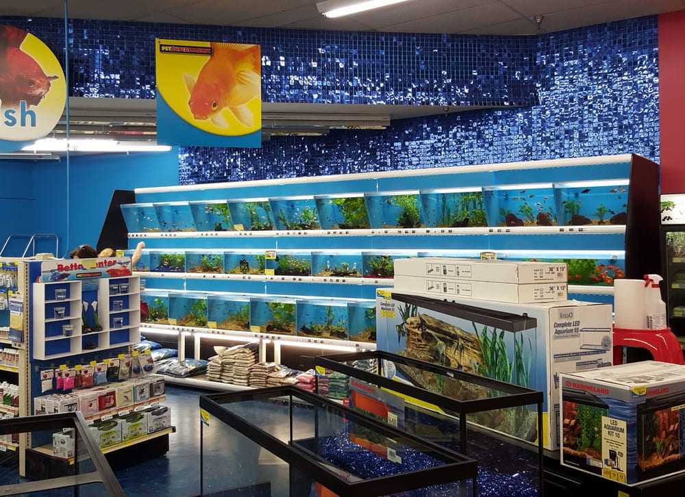 Pet Supermarkets Pet Stores 800 Sebring Sq, Sebring, FL Phone
