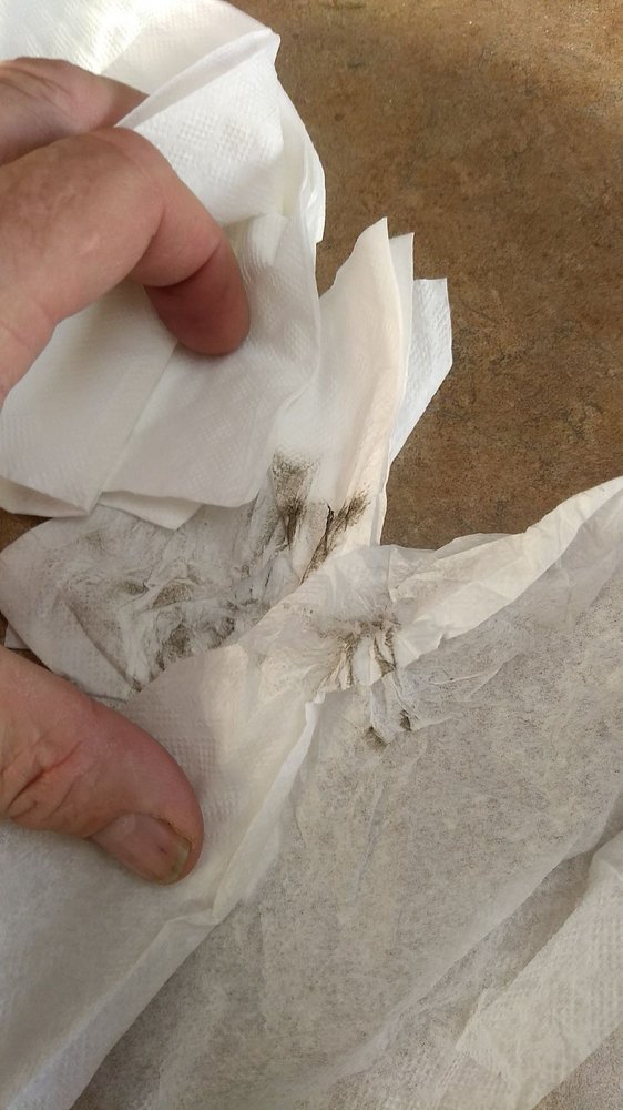 H Salt Fish & Chips 36 Photos & 36 Reviews Fish & Chips 1017