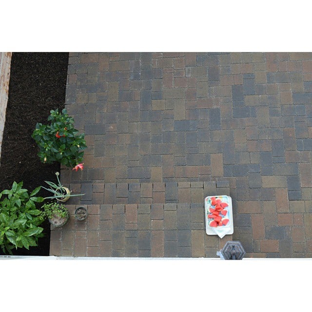 Denison Landscaping & Nursery
