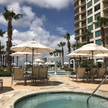 Photo Of Palisade Palms Photo Of Palisade Palms