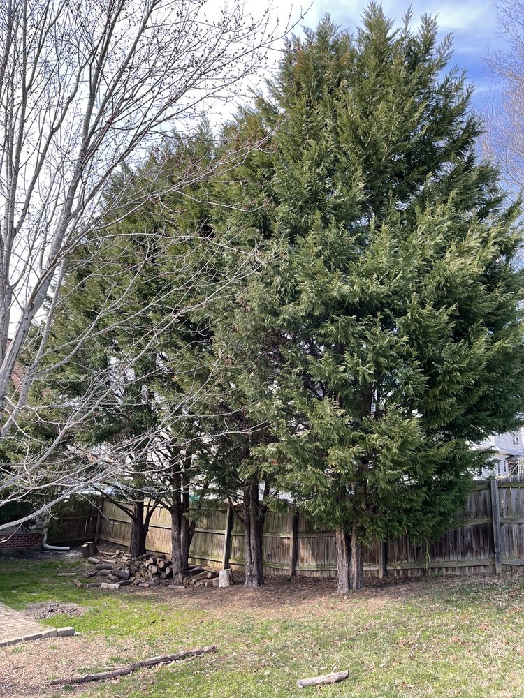 Picky Pike's Outdoor Solutions