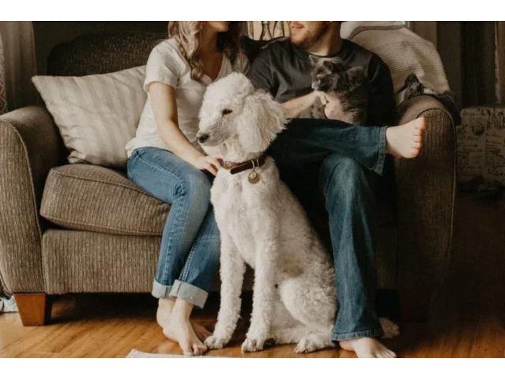 Rogers Group Property Management