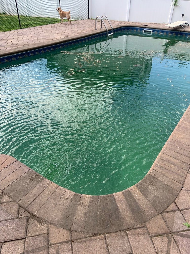 Paul Romanelli & Son Pool Service
