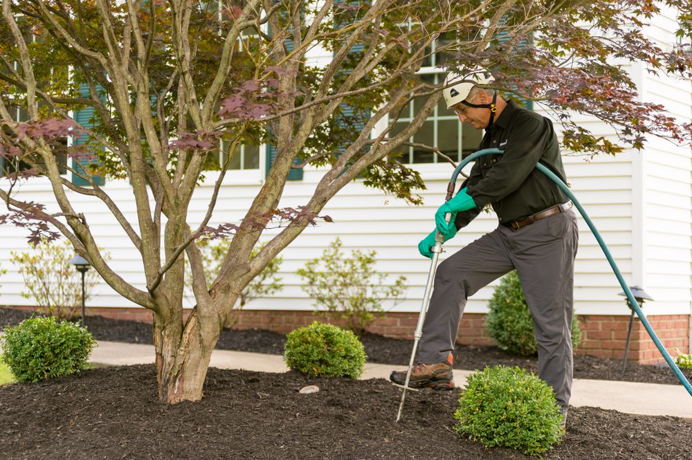 The Davey Tree Expert Company