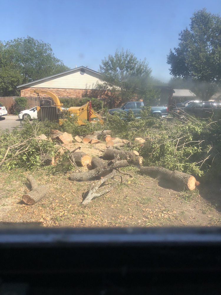 JC's Shredding, Trees & More