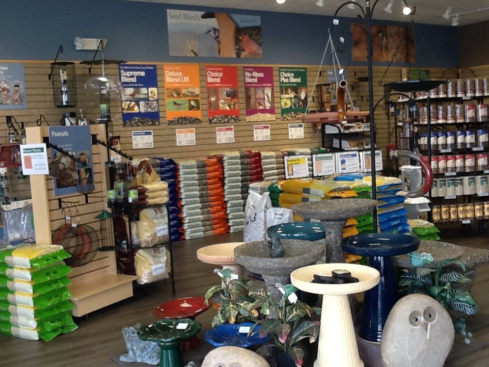 wild birds unlimited beg 228 r offert f 229 gelaff 228 rer 6654 wild birds unlimited beg 228 r offert f 229 gelaff 228 rer 6654