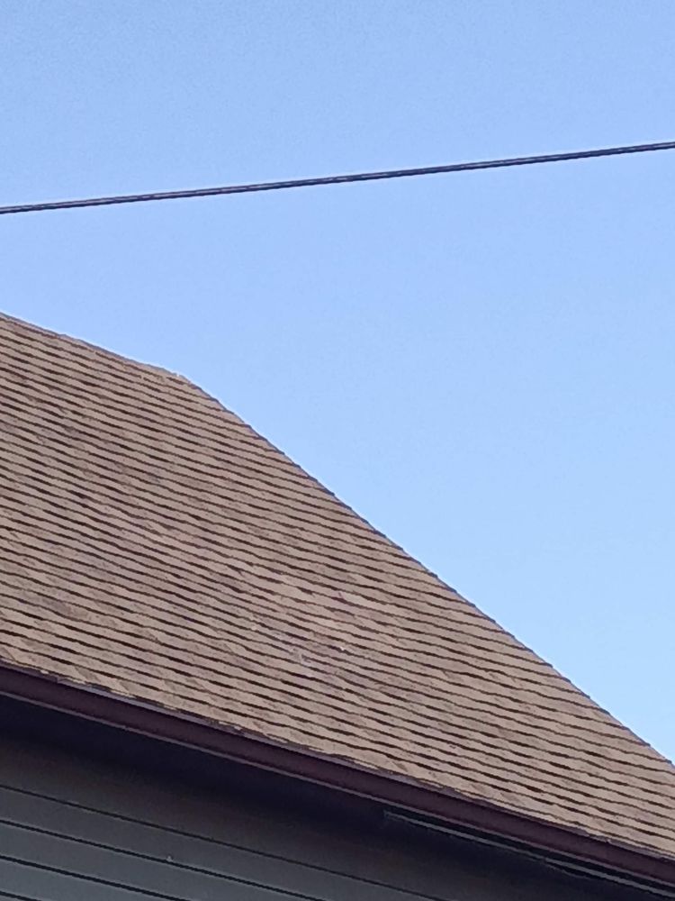 Bird and Bean Construction