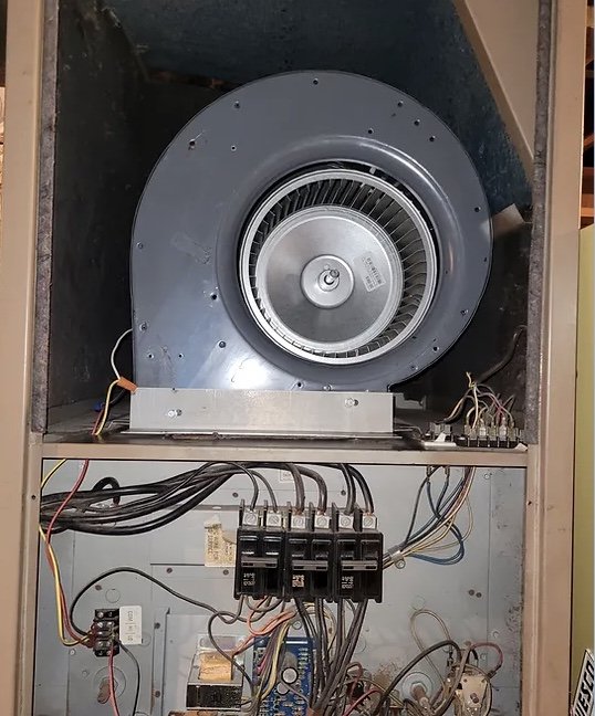 image of business Jay