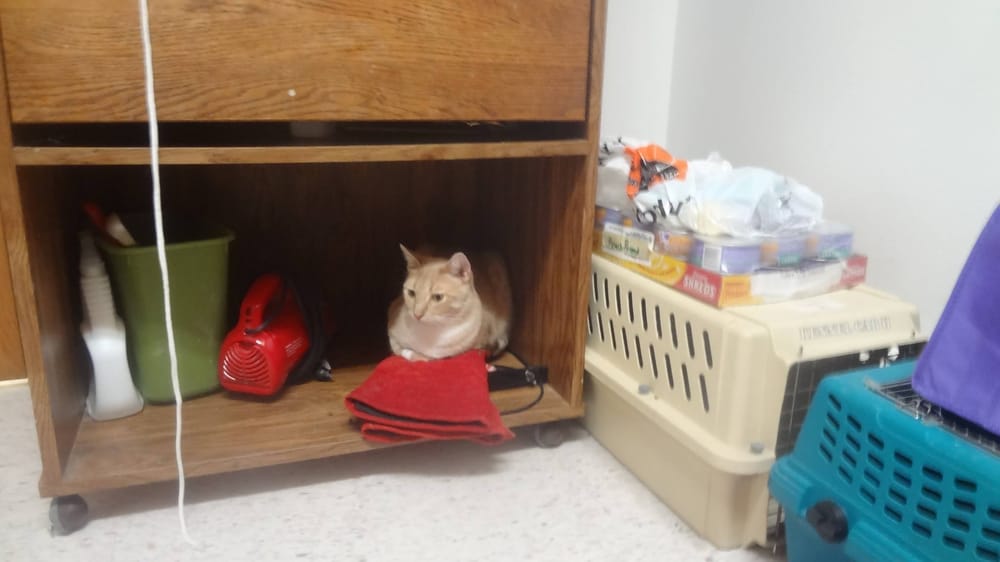 Animal House Pet Care Center 10 Photos Pet Groomers 1174 Gardner