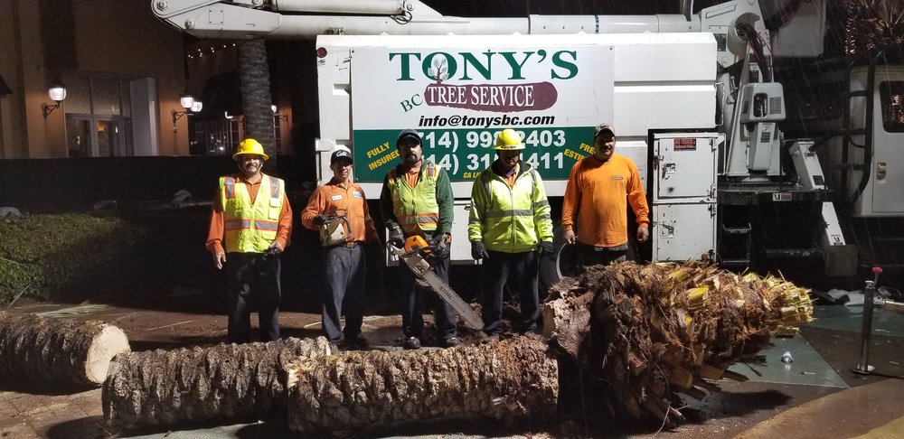 Tony's BC Tree Service