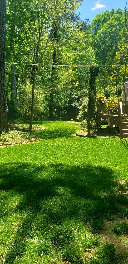 Mow-Town Lawn Care & Maintenance