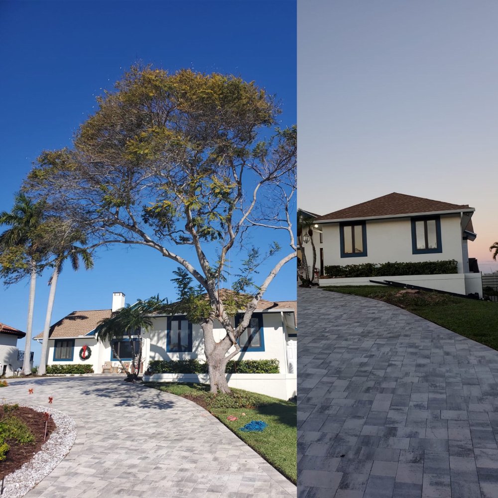 Everest Tree Service
