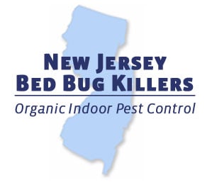 New Jersey Bed Bug Killers