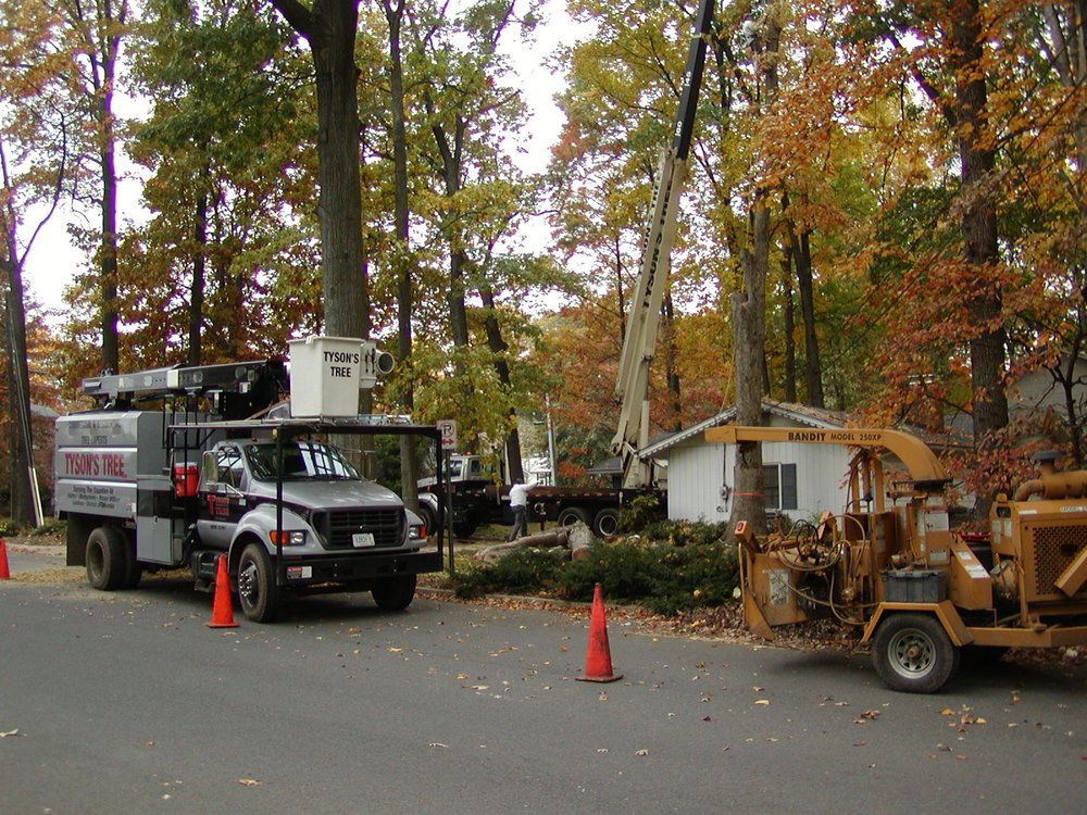 Tyson's Tree Service