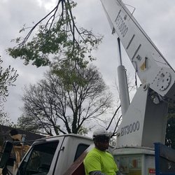 tanksley tree service 28 photos tree services 5019 clarksville crane works nashville tn