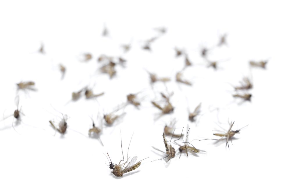 Mosquito Squad of Omaha Metro