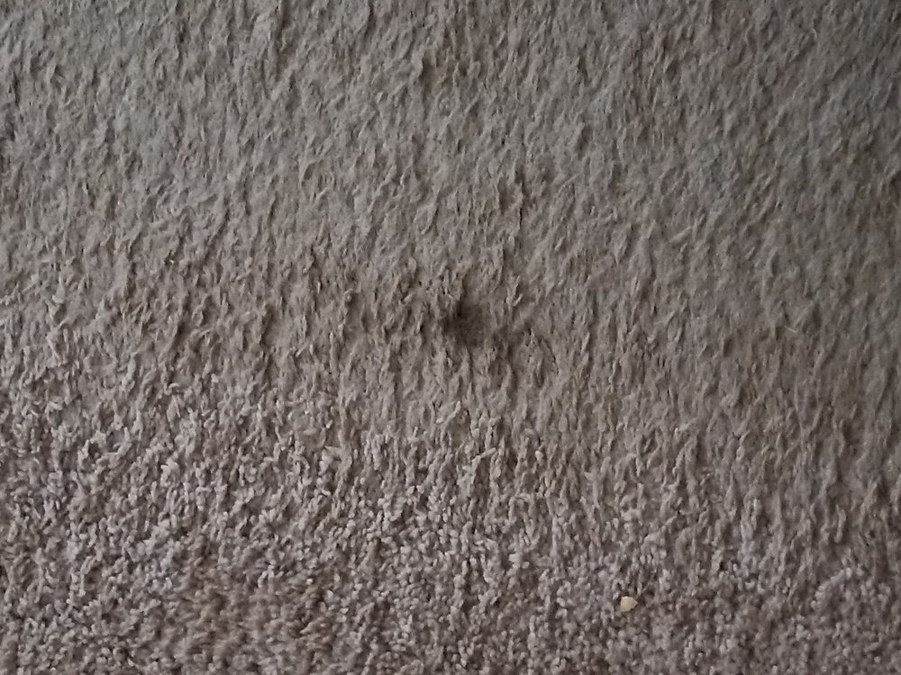 Fairley and Son’s Painting