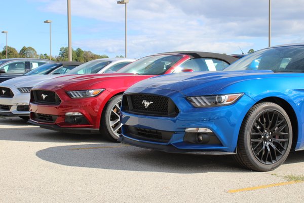 Eric Von Schledorn Random Lake >> Eric Von Schledorn Ford W4873 County Road Rr Random Lake Wi Auto Eric Von Schledorn Random Lake >> Eric Von Schledorn Ford W4873 County Road Rr Random Lake Wi Auto