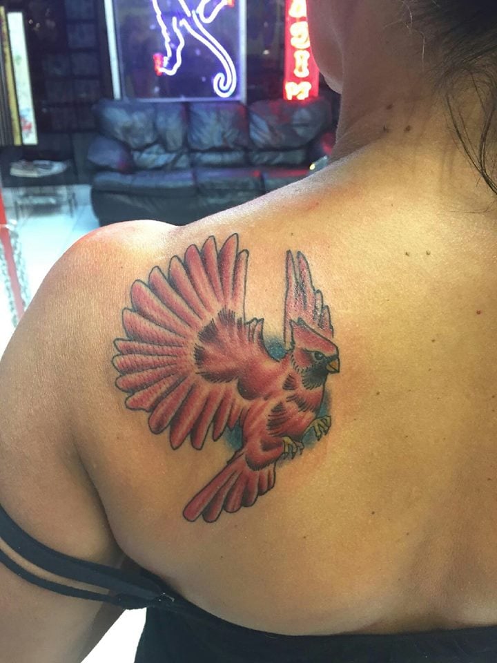 Cardinal bird, in memory of my father! - Yelp