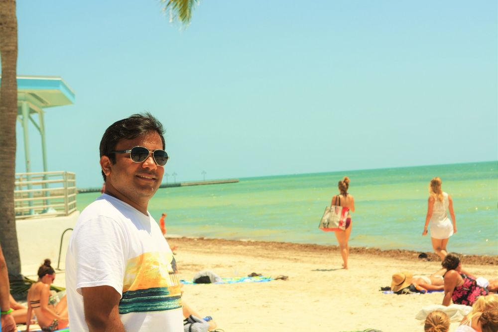 Higgs Beach Dog Park 173 Photos & 75 Reviews Dog Parks 1052