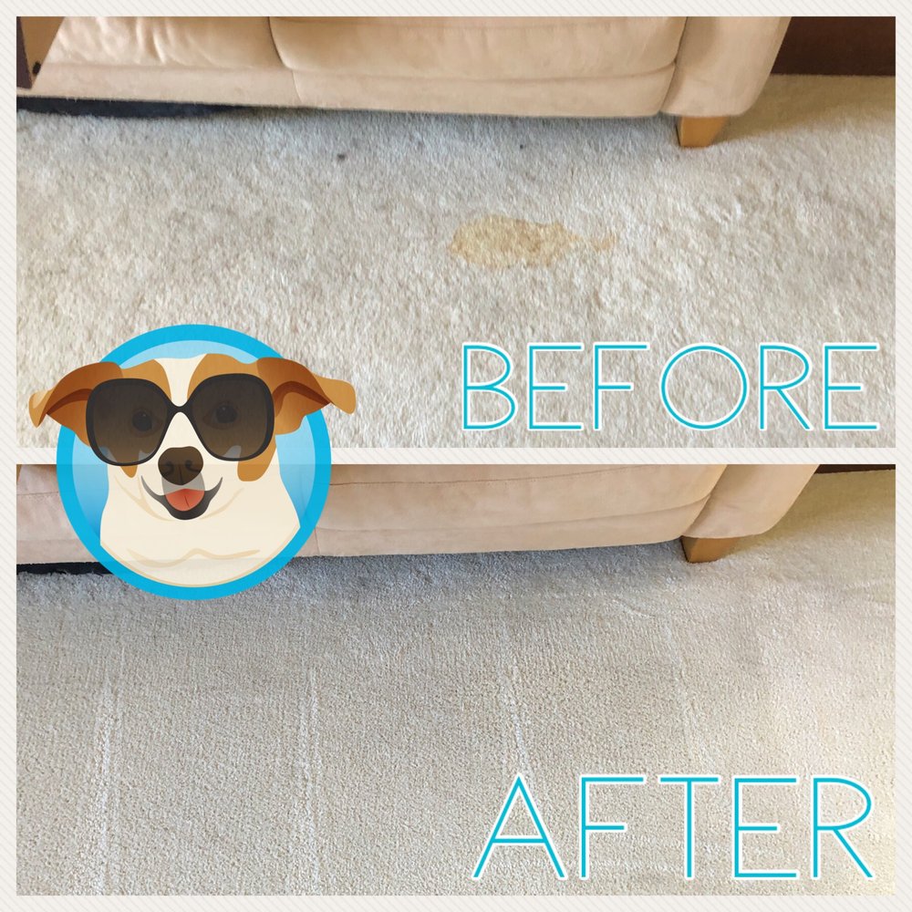 Power Pup Clean