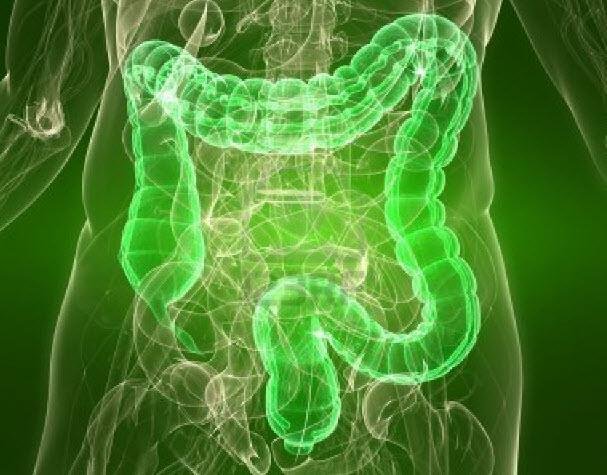 Clinique de Naturopathie et Hydrothérapie du Côlon