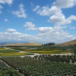 Monrovia Nursery Co Nurseries Gardening 817 E Pl Photo Of Monrovia Nursery Co Azusa Ca United States