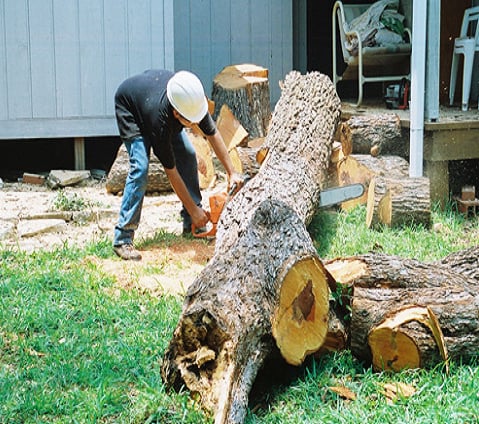 Garland tree removal services