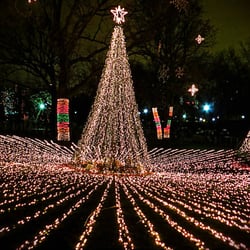 photo of east coast holiday lighting virginia beach va united states - Virginia Beach Christmas Lights photo of east coast holiday lighting virginia beach va united states - Virginia Beach Christmas Lights