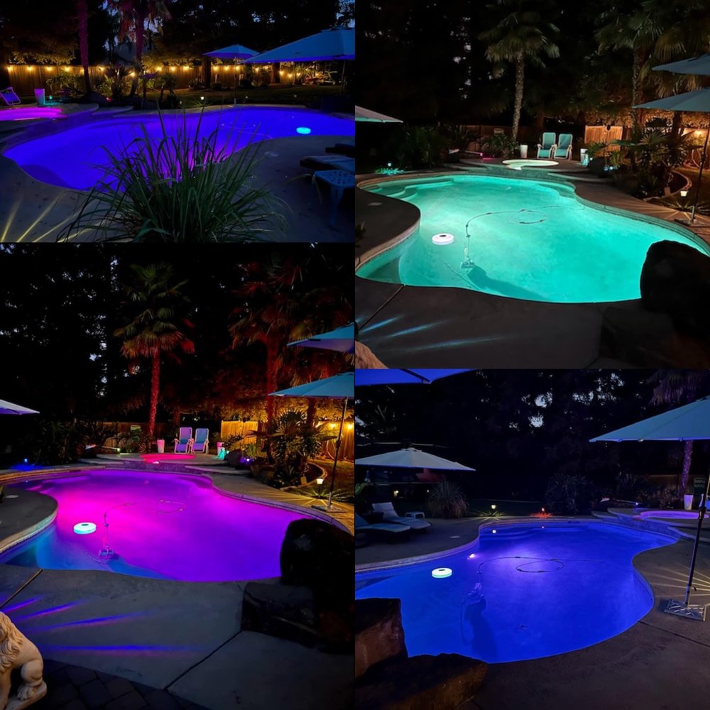 Blue Flamingo Pool Service