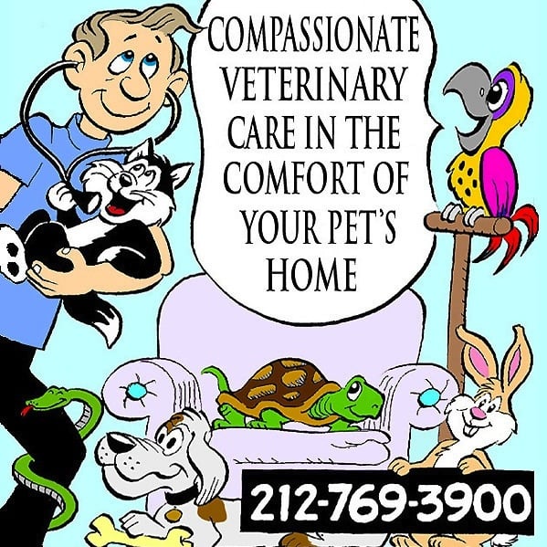Bruce Lowenstein, DVM - Veterinary House Calls