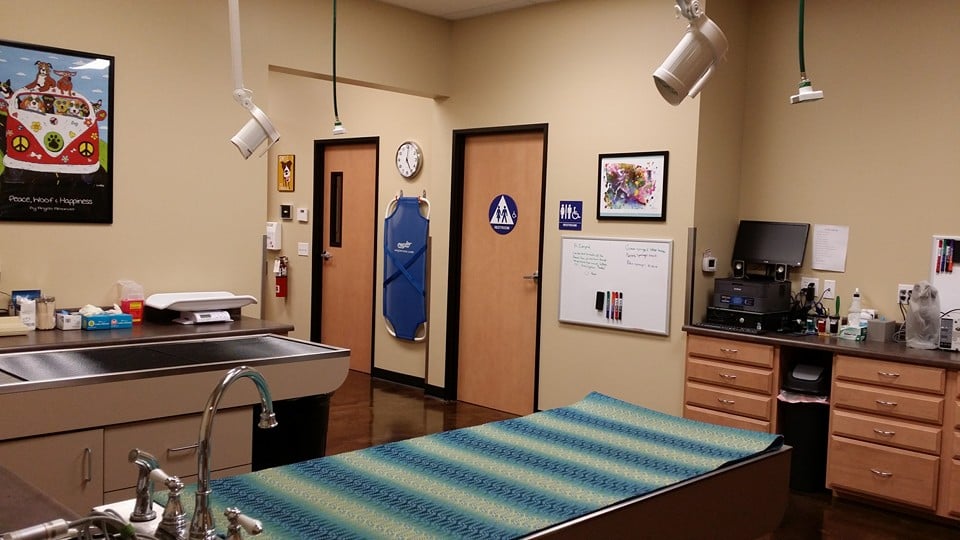 Temecula Valley Animal Hospital 31 Photos & 60 Reviews