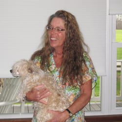 the best 10 veterinarians