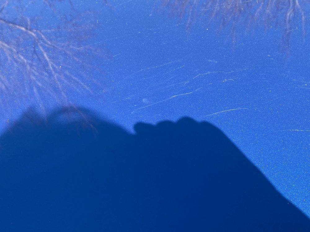 Mr. Beaver Tree Service