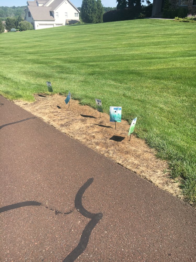 image of business Moyer - Services You Can Count On