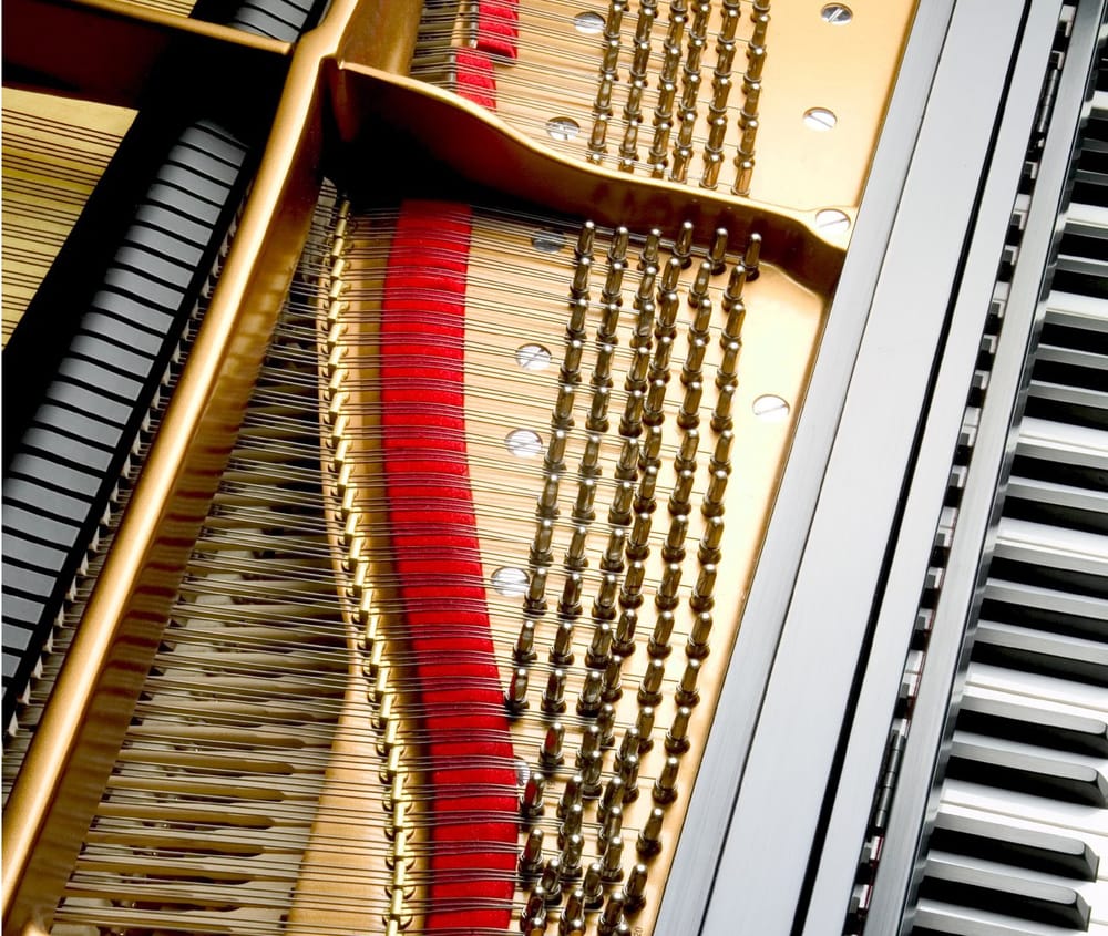 Piano Tuner & Technician