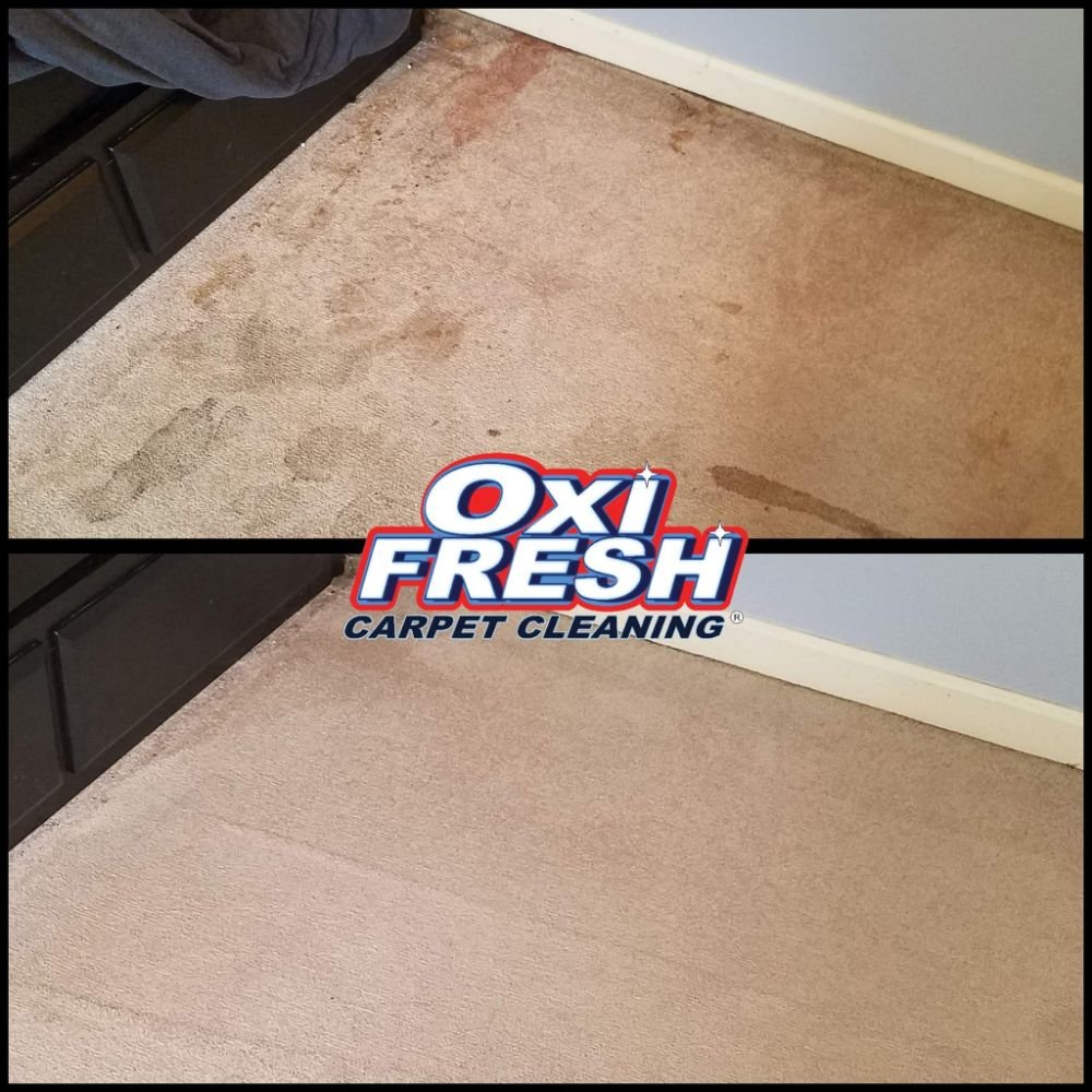 Oxi Fresh Carpet Cleaning