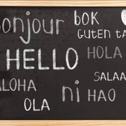 san diego translation center translation services 501 w broadway